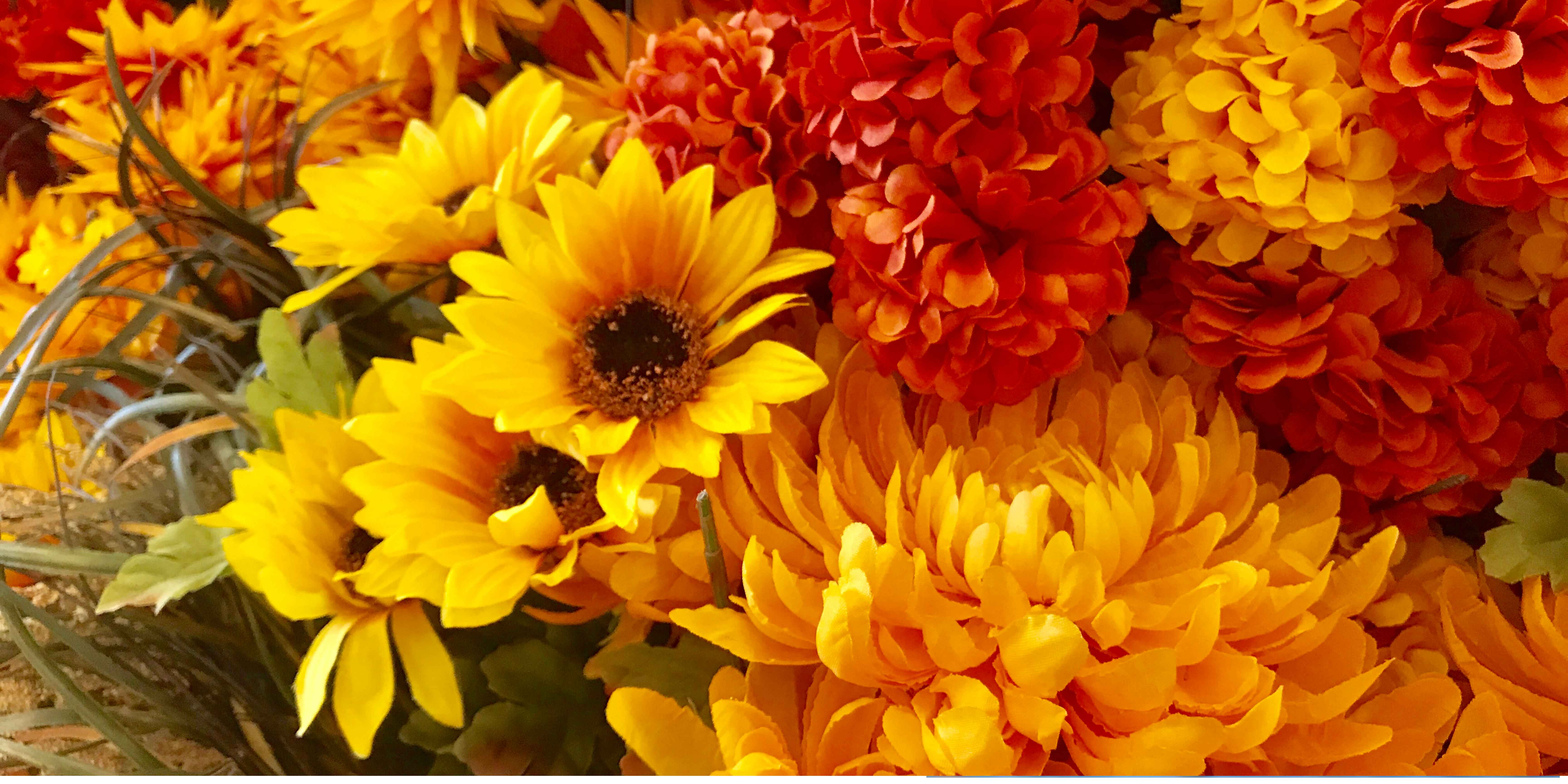 Beautiful Fresh Flowers For Every Occasion - Hero banner for Azi Flowers
